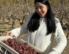 Gian Hàng Hằng Du Mục Ghi Nhận Doanh Thu Khủng Trên TikTok Trước Khi Chủ Nhân Vướng Vòng Lao Lý